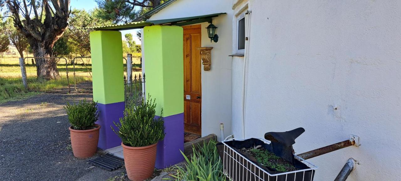 Purple House B&B Smithfield מראה חיצוני תמונה