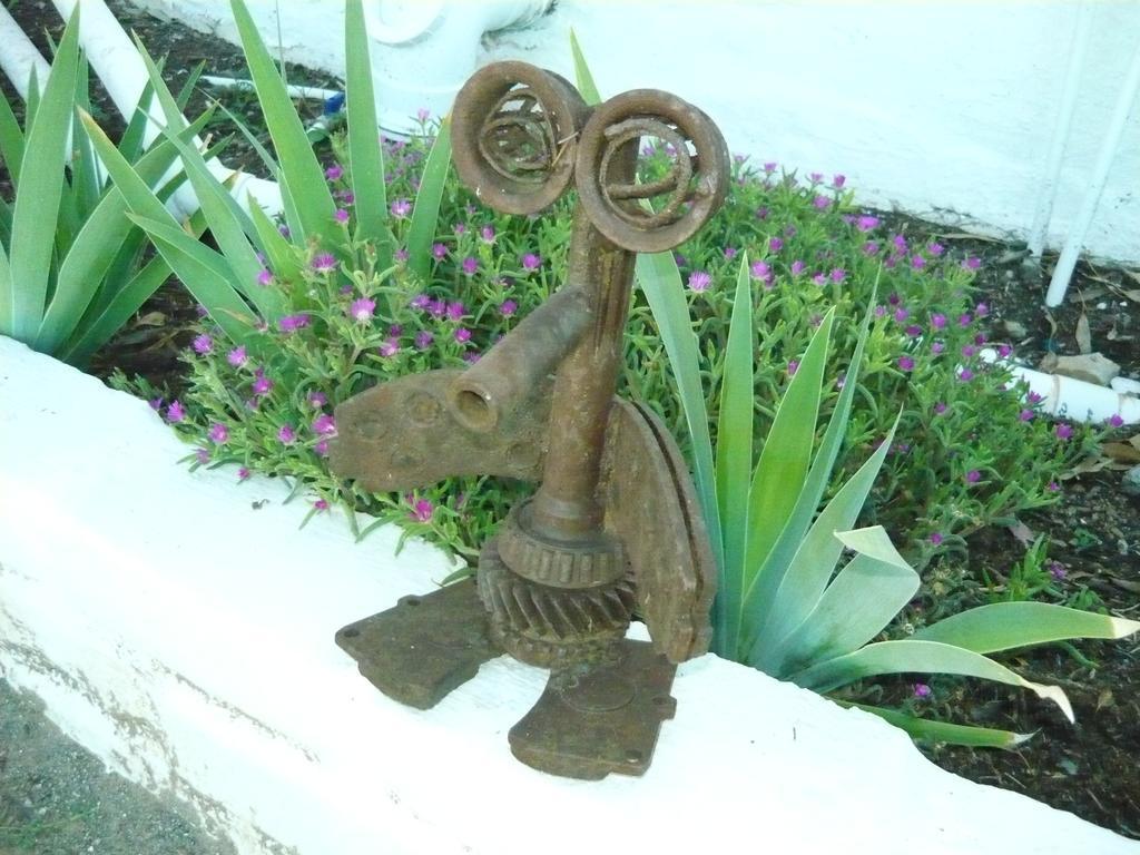 Purple House B&B Smithfield מראה חיצוני תמונה